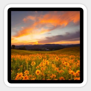 Beautiful landscap flowers and sunset Sticker